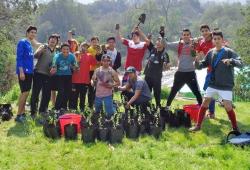 Sjálfboðaliðar hafa plantað trjám á landi musterisins á undanförnum árum