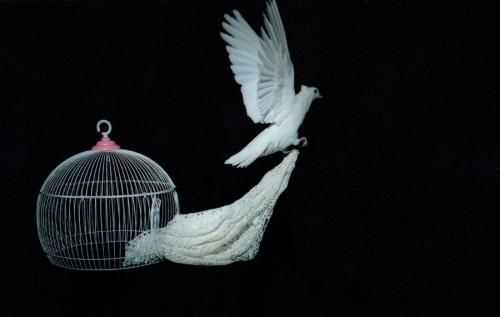 Hópur fimm bahá'í kvenfanga og fimm annarra samviskufanga bjuggu til hvítt hekl úr silki til heiðurs 200 ára afmælinu. 