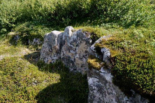 Skógar er sannkallaður unaðsreitur