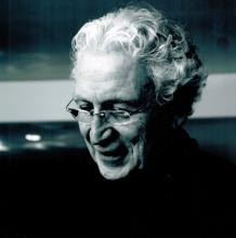 Arkitektinn Hossein Amanat