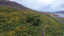 Frá Skógum í Þorskafirði, séð úr lofti. Myndin var tekin með dróna.